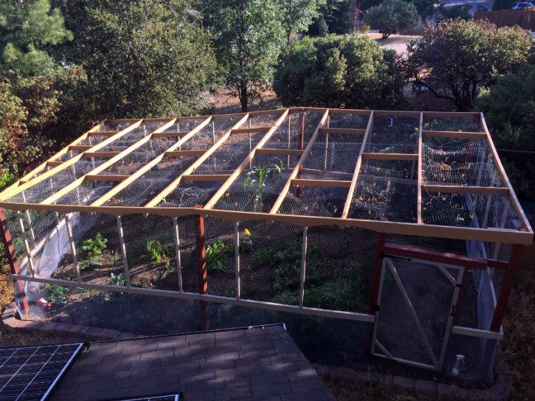 Garden Enclosure