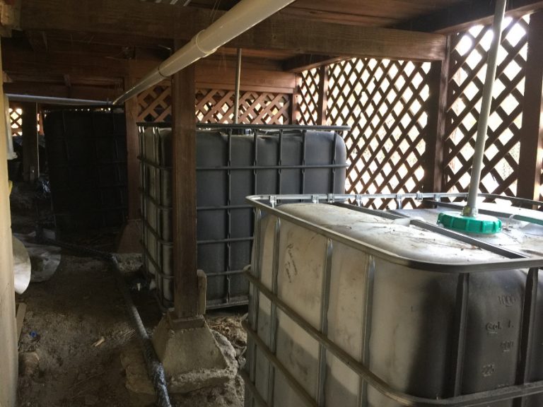 Rainwater Catchment